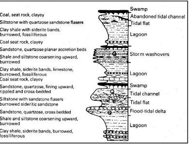 Gambar 10. Penampang Lingkungan Pengendapan pada bagian Back Barrier                        (Horne, 1978)