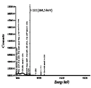 Gambar 7. Spektrum sinar gamma  131 I  