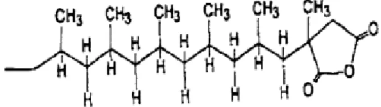 Gambar 2.19. Struktur zat penyerasi dari  AM-g-PP. 
