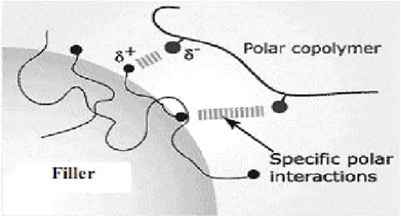Gambar .2.20.Mekanisme kerja fungsionalisasi  dari polar AM-g-PP  (Lim Jian Wei ,2006) 