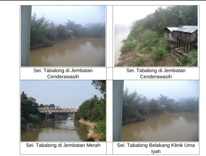 Gambar 6.4 Peta RTH Eksisting Kelurahan Pembataan. 
