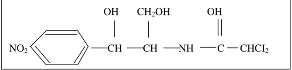 Gambar 7. Struktur kloramfenikol 