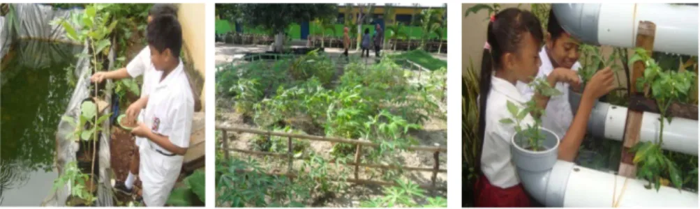 Gambar 2 : Contoh Pengembangan Kebun Sekolah