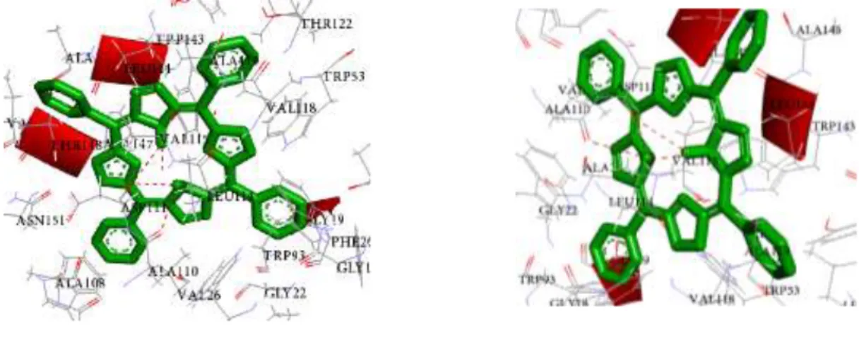 Gambar  5.  Visualisasi  hasil  doking  PBR-MTPP  dan  PBR-MTPC  terdapat  ikatan  hidrogen  (garis  putus-putus  warna  merah)  pada  asam  amino ASP111 dan TRP143