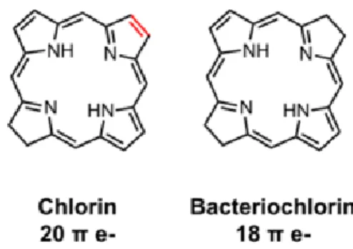 Tabel 2 Senyawa photosensitizer yang diteliti  Nama senyawa  Nama senyawa  hidroksi pheo a  Pheo a metil ester  G2 acid metil  Klorofilon a 
