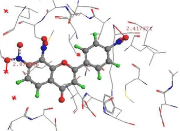 Gambar  11.  Interaksi  senyawa  FD07  dengan  reseptor  pada  binding  site  HER2-TK 