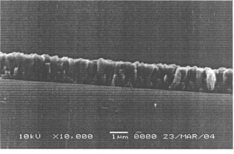 Gambar 9. Struktur mikro potongan melintang permukaan lapisan ZnO yang terbentuk pada suhu 250°C dan waktu deposisi selama 1 jam.