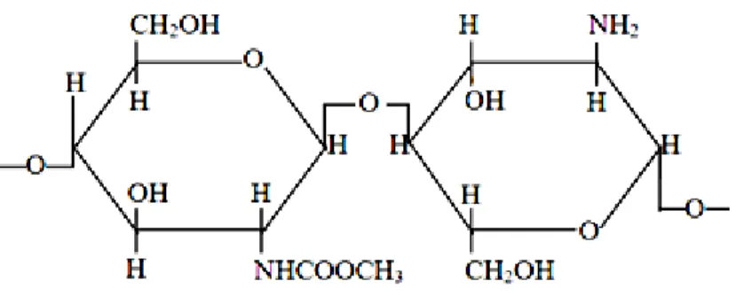 Gambar 1.  Struktur  Molekul  Kitosan 