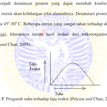 Gambar 5. Pengaruh suhu terhadap laju reaksi (Pelczar and Chan, 2005)  4. Pengaruh pH 