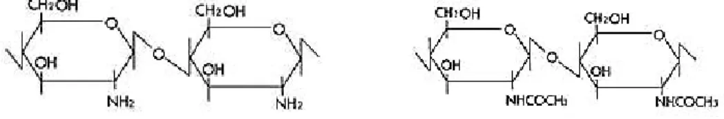 Gambar 1. Struktur kimia kitosan  Gambar 2. Struktur kimia kitin 