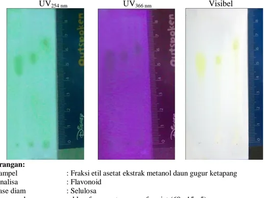 Gambar 2. Kromatogram identifikasi senyawa golongan flavonoid dari fraksi etil asetat  ekstrak  metanol  daun  gugur  ketapang  segar  (GS)  dan  kering  (GK)  dibandingkan dengan baku pembanding kuersetin (P) 