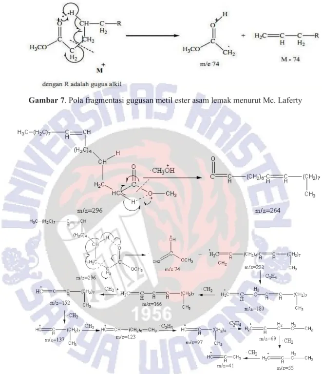 Gambar 7. Pola fragmentasi gugusan metil ester asam lemak menurut Mc. Laferty 
