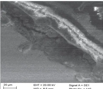Gambar  5.  Struktur  Mikro  Lapisan  Chromized  Temper  350 0 C 