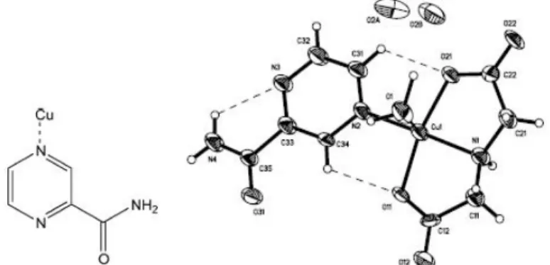 Gambar 2. Struktur Molekul [Cu(IDA)(pza)(H 2 O)].H 2 O (Blanco et al., 2003)  Selain itu juga telah disintesis kompleks {[Cu(pzca)(CH 3 CN) 3 ](ClO 4 ) 2 .H 2 O}n  (pzca  =  2-pyrazine  carboxamide),  dalam  kompleks  tersebut  atom  O  gugus  karbonil  da