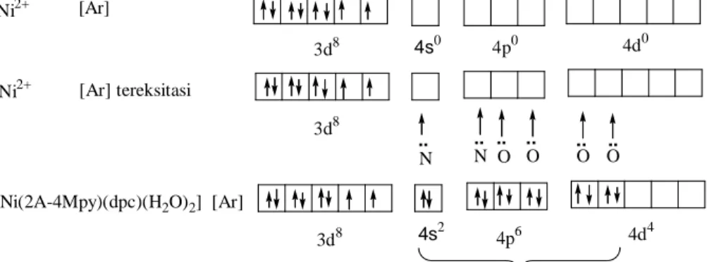 Gambar 7.  Ikatan Koordinasi pada Kompleks ([Ni(2A-4Mpy)(dipicolinate)(H 2 O) 2 ]. 