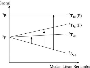 Gambar  12.  Diagram  Orgel  dan  Spektrum  Transisi  Elektronik  untuk  Ion  d 8   (Lee,  1994) 