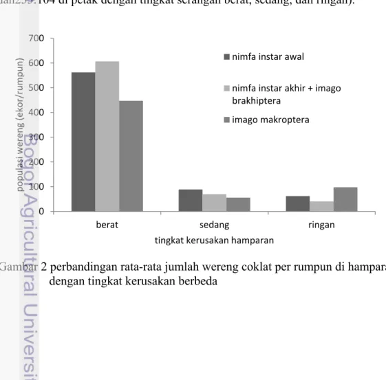 Gambar 2 perbandingan rata-rata jumlah wereng coklat per rumpun di hamparan  dengan tingkat kerusakan berbeda 