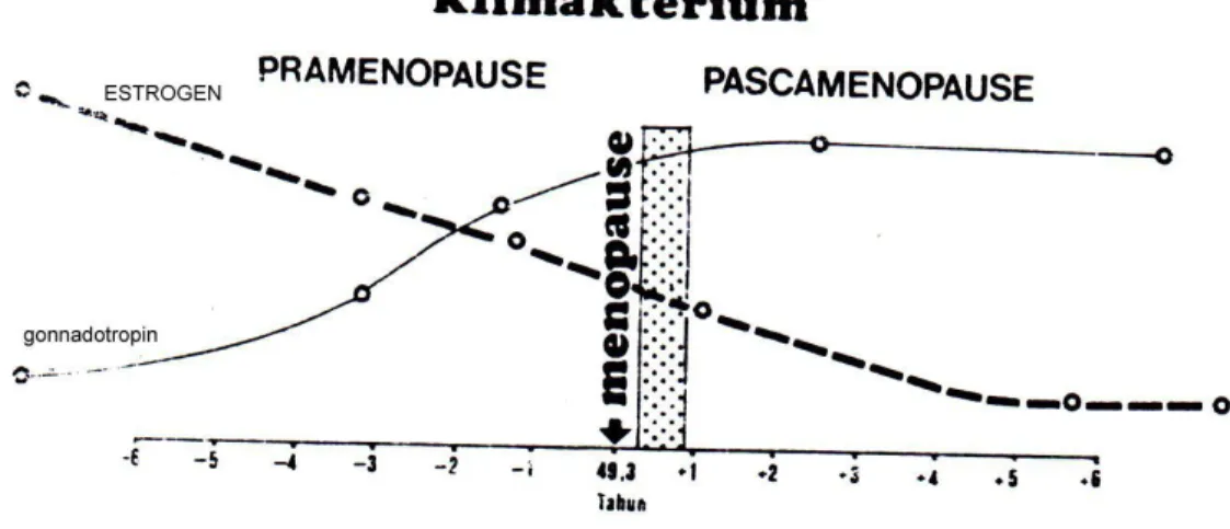 Gambar 1. Fase-fase Klimakterium 