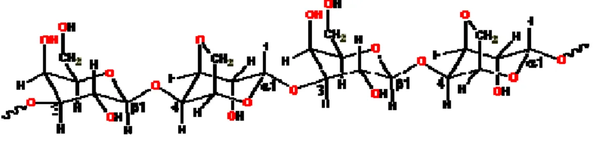 Gambar 2-7 Struktur agar-agar 