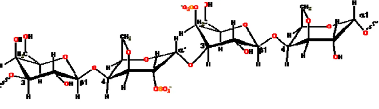 Gambar 2-8 Struktur karagenan 