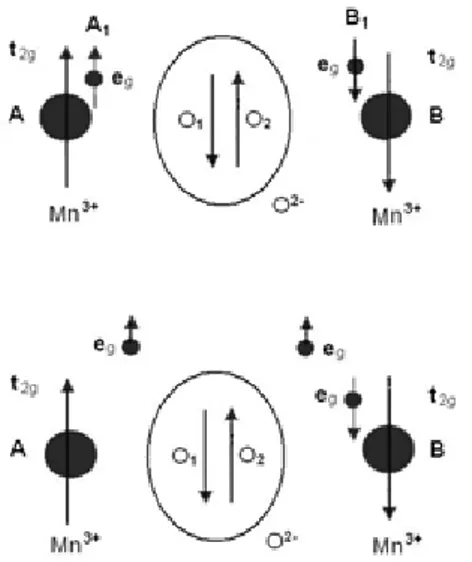 Gambar  9  IIlustrasi fenomena pertukaran  antara ion Mn +3  dan Mn +3  melalui anion O -2 