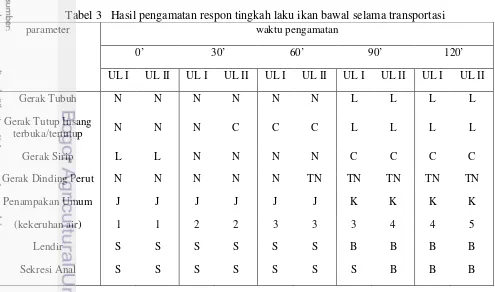 Tabel 3   Hasil pengamatan respon tingkah laku ikan bawal selama transportasi 