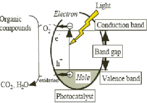 Gambar  5. Skema Proses Fotokatalis  pada Permukaan  Semikonduktor                        (Sumber  :  Eni  Hartini,  2011)
