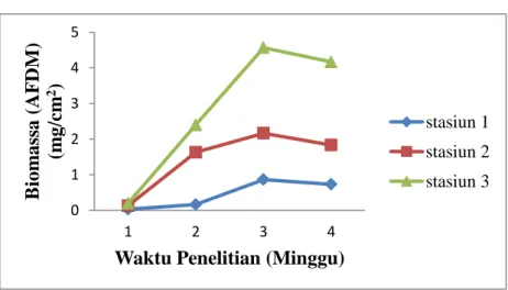 Tabel  1.  Rata-rata  Hasil  Pengukuran  Biomassa  (AFDM)  Perifiton  di  Sungai  Salo Pada Masing-masing Stasiun dalam Waktu yang Berbeda 