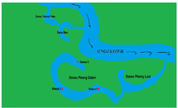Gambar 1.  Peta lokasi penelitian di Danau Pinang Dalam  Figure 1. Map of research in Lake Pinang Dalam 