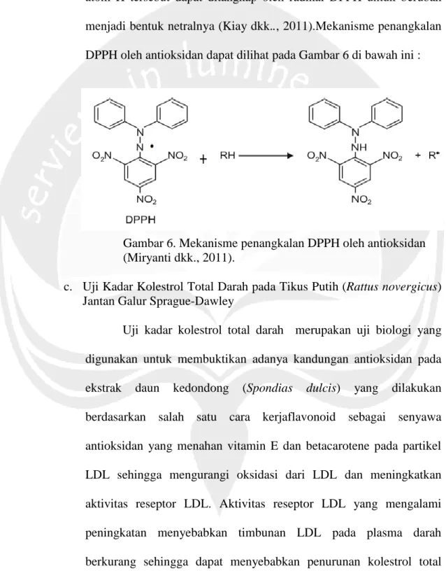 Gambar 6. Mekanisme penangkalan DPPH oleh antioksidan  (Miryanti dkk., 2011).  