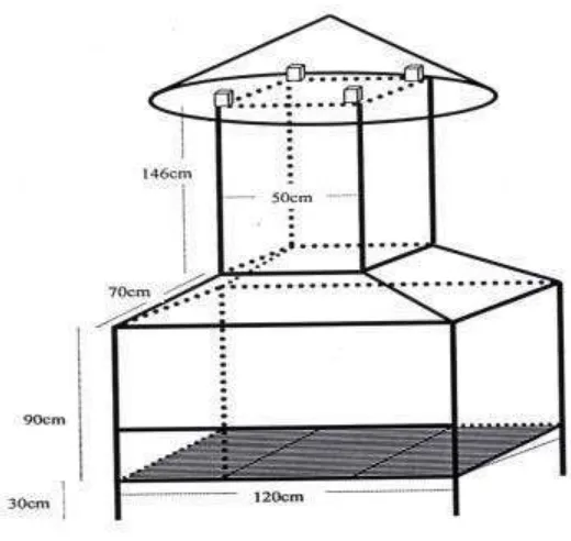 Gambar 4. Kiln Semi Kontinyu Type P3THH 