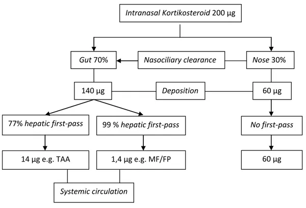 Gambar 8 . Metabolisme 200 μg MF, FP, Bud dan TAA. 
