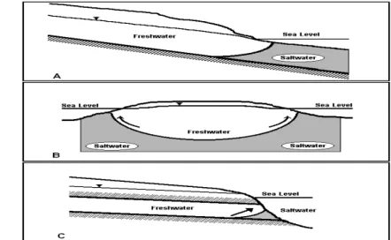 Gambar 1. Ilustrasi sistem akuifer pantai (Essaid 1990) 