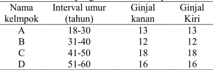 Tabel 1. Umur yang termasuk dalam penelitian  Nama  kelmpok  Interval umur (tahun)  Ginjal kanan  Ginjal Kiri  A  18-30  13  13  B  31-40  12  12  C  41-50  18  18  D  51-60  16  16 