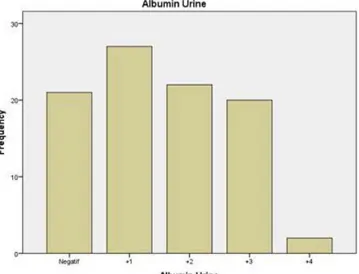 Gambar 2 Distribusi Frekuensi Hasil Tes Albumin Urine pada Pasien dengan Penyakit Ginjal di RSUD