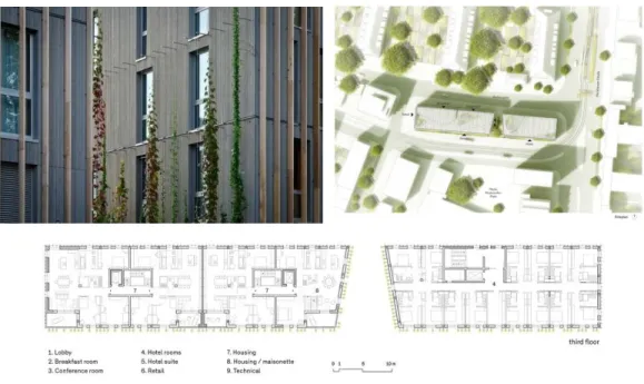 Gambar 12. Denah dan siteplan apartemen stadthaus M1