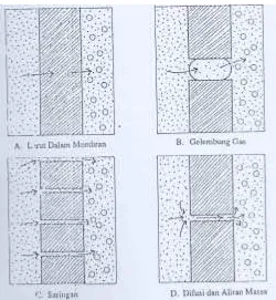 Gambar 3. Beberapa Model Pergerakan Air Melewati Membran (Lakitan, 1993)  