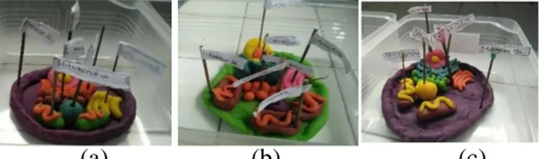 Gambar 4.  Bentuk 3D Sel Hewan Hasil Peserta Didik. (a) Hasil Karya  Kelompok  01; (b) Hasil Karya Kelompok 03 dan (c) Hasil Karya Kelompok 05