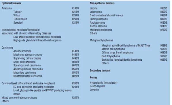 Gambar 2.8  Klasifikasi histologi tumor kolon dan rektum menurut WHO  (IARC, 2011). 