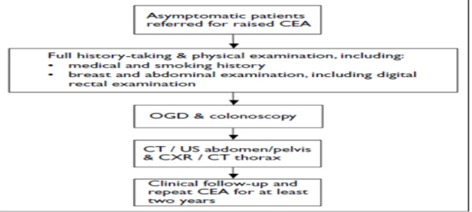 Gambar 2.4.1  Alogritma  Evaluasi pada Pasien Asimptomatik dengan  CEA  yang Meningkat (Lim Y et al., 2009)
