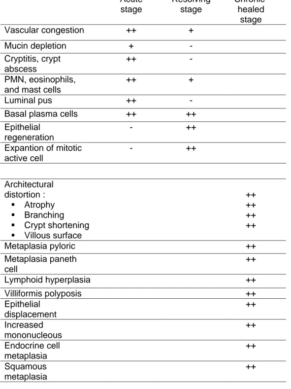 Table 2.1(Fenoglio-Peiser, 1999)  Acute  stage  Resolving stage  Chronic-healed  stage  Vascular congestion  ++  +   Mucin depletion  +  -   Cryptitis, crypt  abscess  ++  -   PMN, eosinophils,  and mast cells 