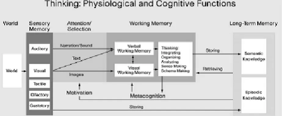 Gambar  1.  Tiga  memori  manusia  yang  menunjukan  proses  berpikir  berdasarkan  fungsi  fisiologis  dan  kognitif  menurut  Mayer  (2003); 