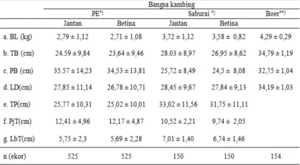 Tabel 1. Rata-rata berat lahir dan ukuran-ukuran tubuh kambing PE, Saburai, dan Boer