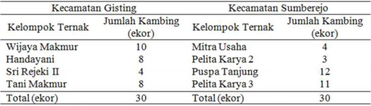 Tabel 5. Jumlah sampel pengamatan di Kecamatan Gisting dan Kecamatan Sumberejo