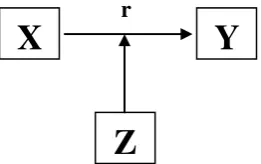 Gambar 3.2  Gambar paradigma penelitian 
