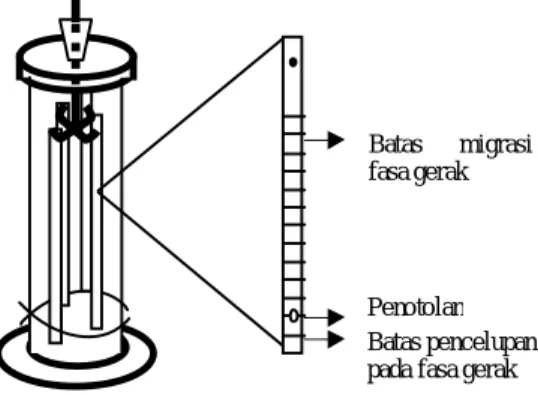 Gambar 1. Skema kromatografi kertas 