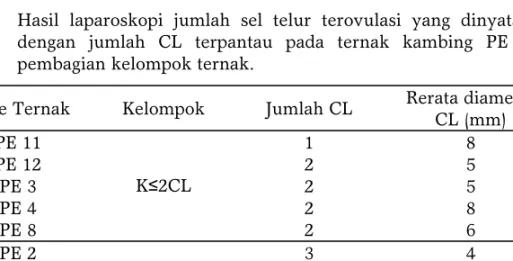Tabel 2.  Hasil laparoskopi jumlah sel telur terovulasi yang dinyatakan  dengan jumlah CL terpantau pada ternak kambing PE dan  pembagian kelompok ternak