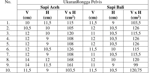 Tabel 1. Data luas rongga pelvis sapi aceh dara dan sapi bali dara 