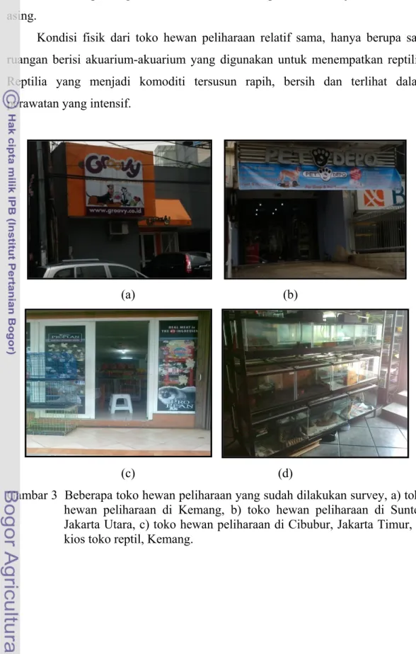 Gambar 3  Beberapa toko hewan peliharaan yang sudah dilakukan survey, a) toko  hewan peliharaan di Kemang, b) toko hewan peliharaan di Sunter,  Jakarta Utara, c) toko hewan peliharaan di Cibubur, Jakarta Timur, d)  kios toko reptil, Kemang