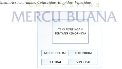 Gambar 3.18 Halaman Menu Xenophidia 